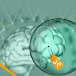 با روانشناسی مشتری ساده تر بفروشید