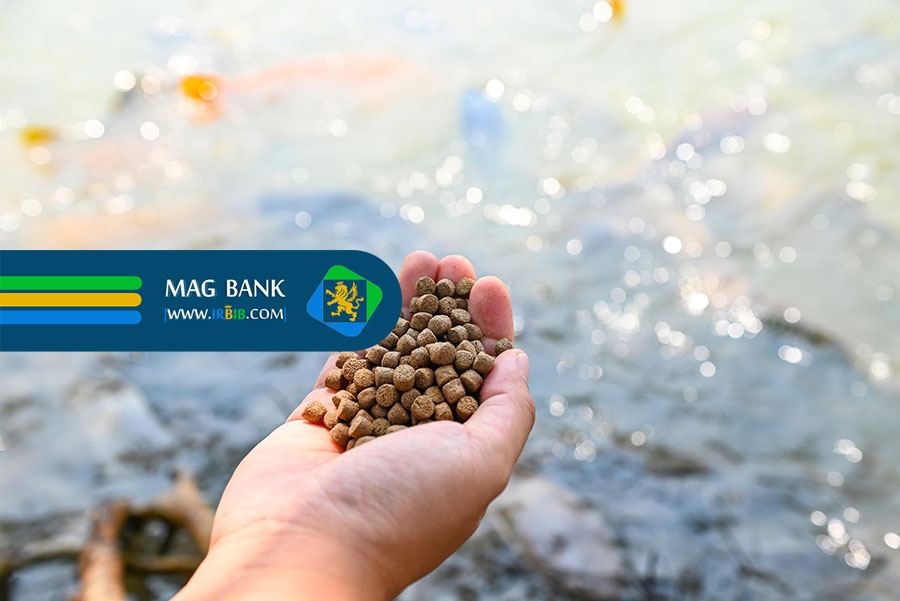 انواع سالمون: راهنمای خرید بهترین نوع ماهی سالمون