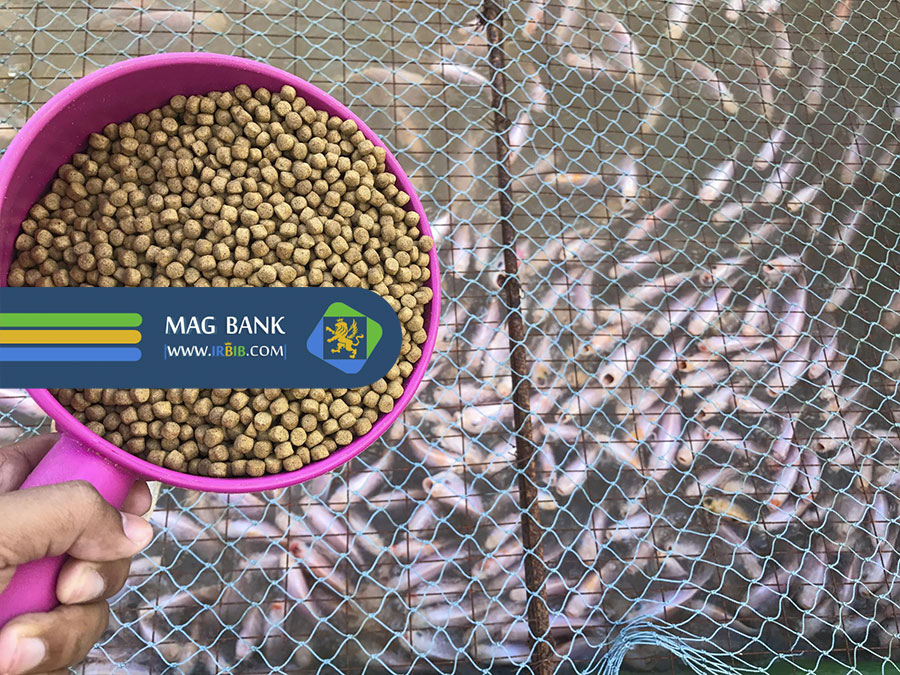 عوامل موثر بر انتخاب خوراک قزل آلا