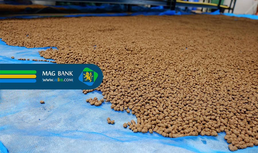 انواع خوراک ماهی قزل آلا و مقایسه آن‌ها