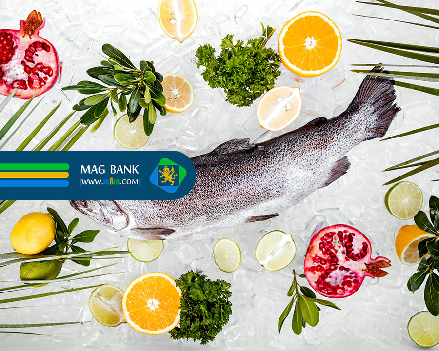 تغذیه قزل آلای پرورشی: کلید موفقیت در پرورش