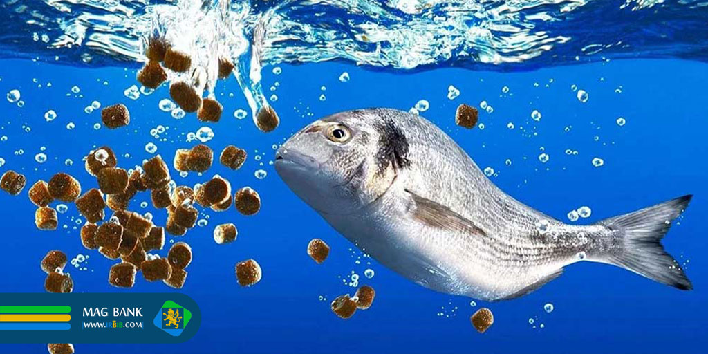 5 اشتباه در خوراک آبزیان