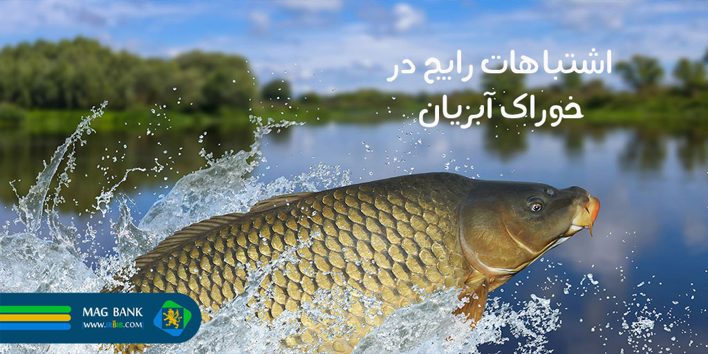 اشتباهات رایج در غذای ماهی و راههای پیشگیری