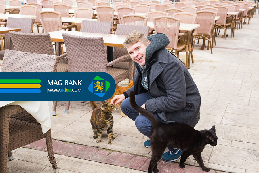 بهترین پت شاپ برای حیوان خانگی شما در تهران