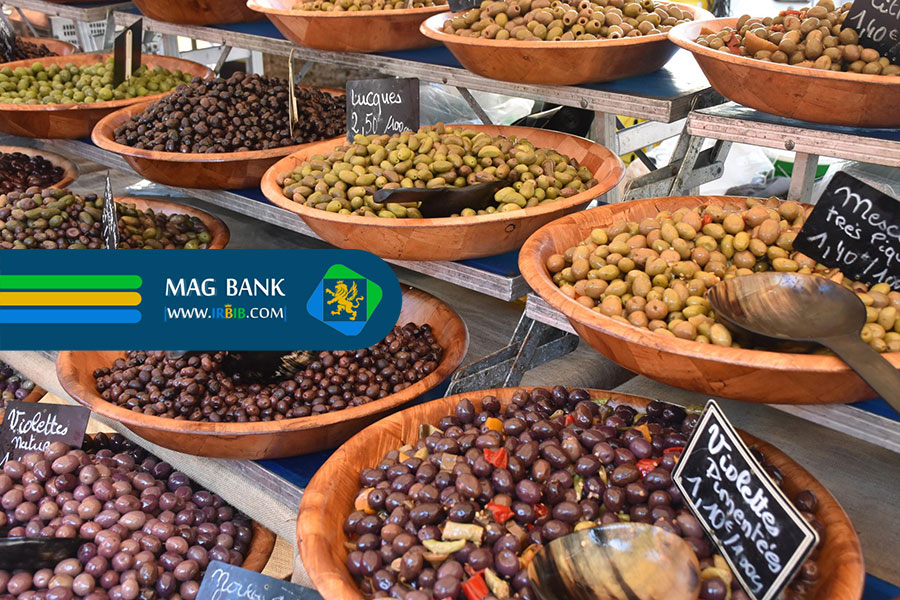 لوازم بهداشتی سگ: از شامپو تا ناخن‌گیر، همه چیز برای مراقبت از سگ