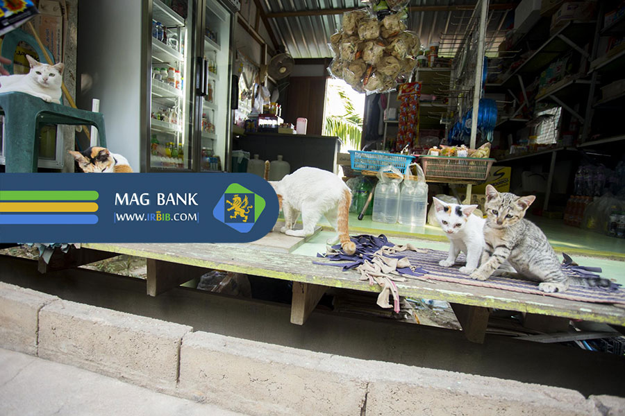 پت شاپ‌های شبانه‌روزی تهران: همیشه در خدمت حیوان خانگی شما