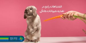 10 اشتباه رایج در تغذیه حیوانات خانگی