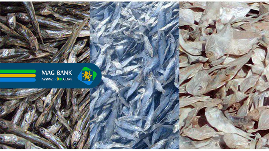 عوامل موثر بر قیمت پودر ماهی و میگو: سفری به اعماق بازار