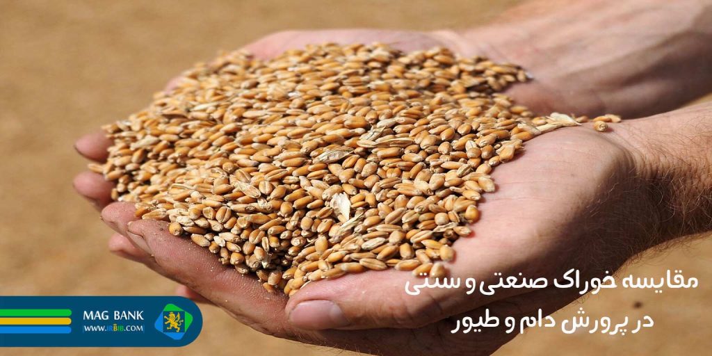مقایسه خوراک صنعتی و سنتی در پرورش دام و طیور