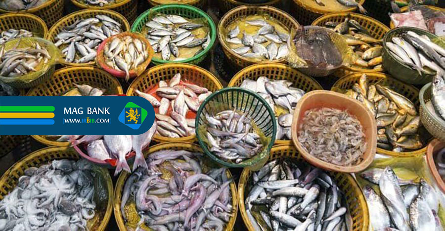 تولیدکنندگان پودر ماهی و میگو در ایران: نبض صنعت آبزیان