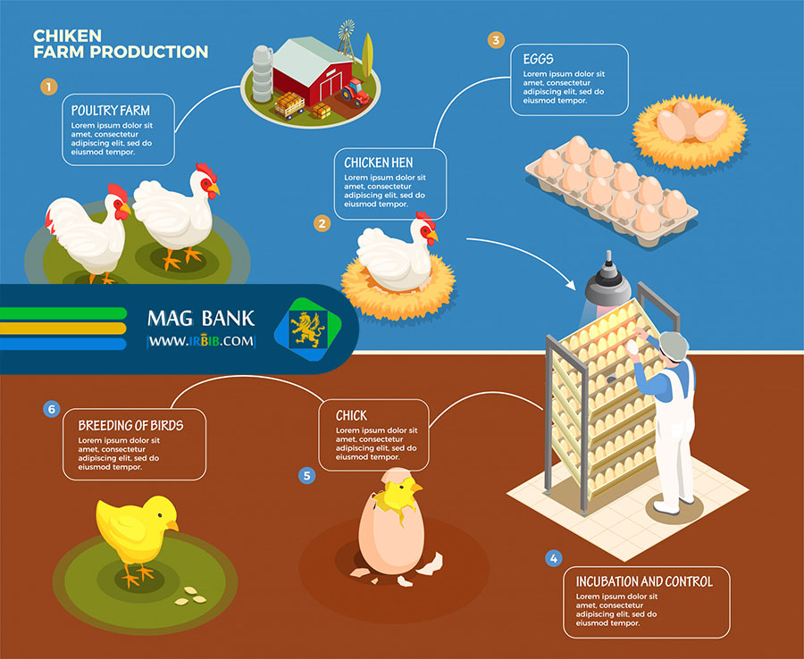 بهبود ضریب تبدیل خوراک
