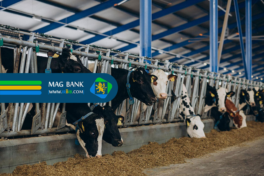 https://irbib.com/mag/the-effect-of-standard-livestock-and-poultry-feed-on-livestock-growth-and-productivity/