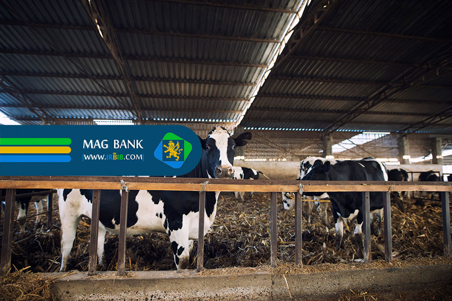 نقش حیاتی مواد معدنی در سلامت دام و طیور