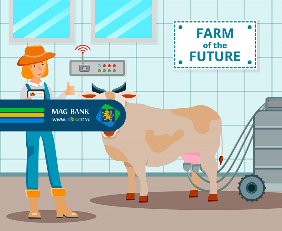 اصول کلیدی در انتخاب خوراک مناسب دام و طیور