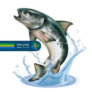 لیست تولیدکنندگان خوراک ماهی سالمون و سردابی