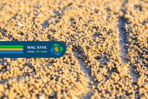 تولیدکنندگان پودر ماهی و میگو در ایران: مقایسه کیفیت و قیمت