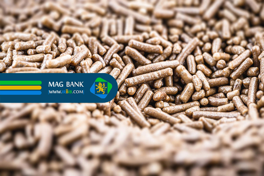 انواع غذای ماهی: تنوع در انتخاب