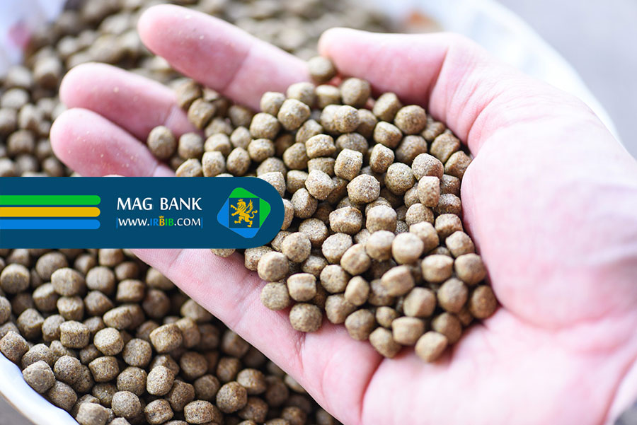 انواع خوراک‌های ارگانیک برای آبزیان: راهنمای جامع برای تغذیه سالم