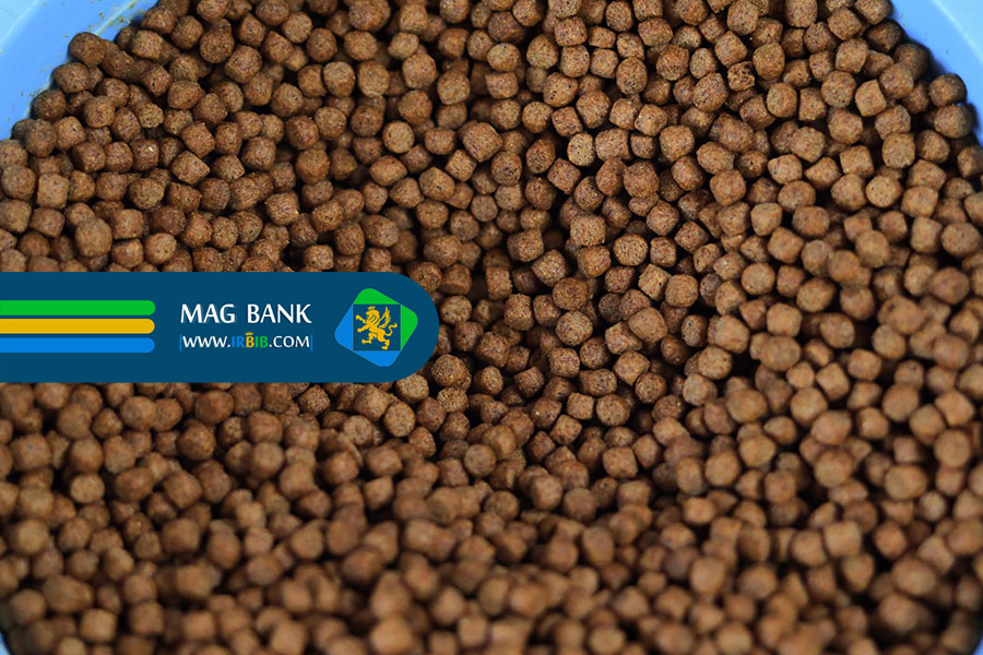 تغذیه آبزیان: کلید رشد و سلامت