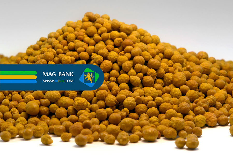 نکات کلیدی در انتخاب خوراک ارگانیک آبزیان برای رشد و سلامت