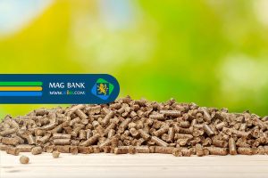 خوراک آبزیان: کلید طعم و کیفیت بی‌نظیر گوشت