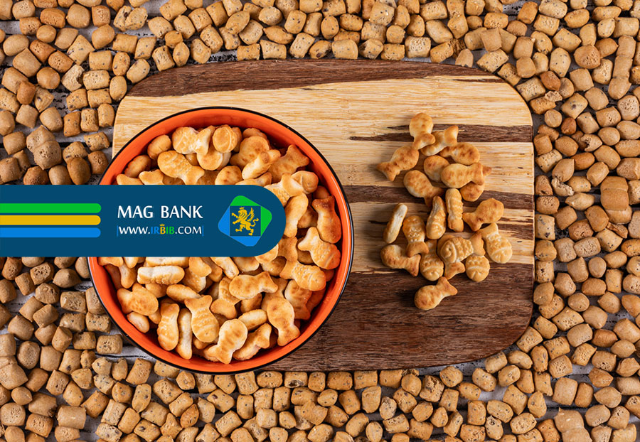  مشکلات تأمین مالی