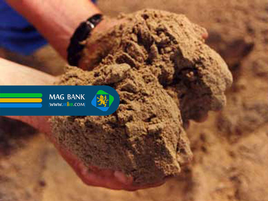 عوامل موثر بر کیفیت پودر ماهی و میگو: سفری به اعماق کیفیت