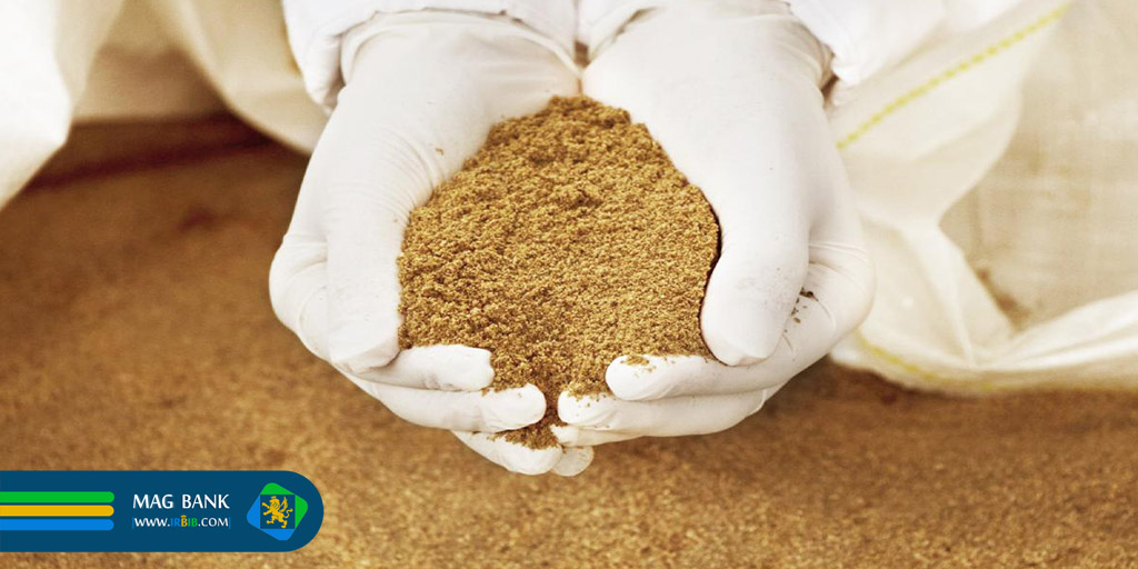 پودر ماهی چیست؟