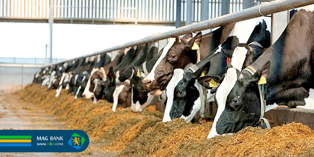 صادرات خوراک دام و طیور در ایران