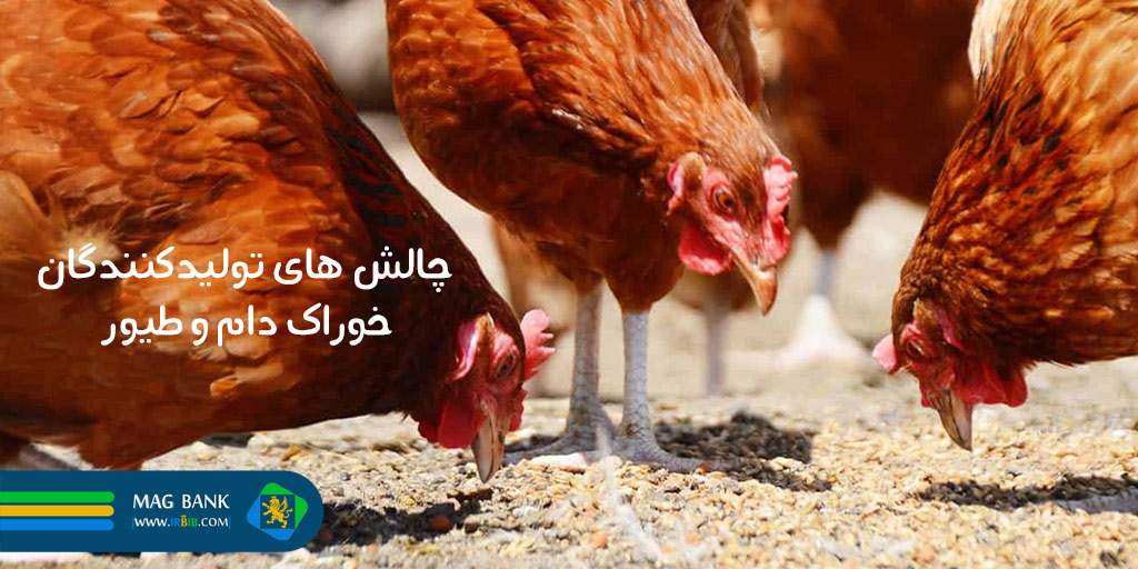 چالش های تولیدکنندگان خوراک دام و طیور