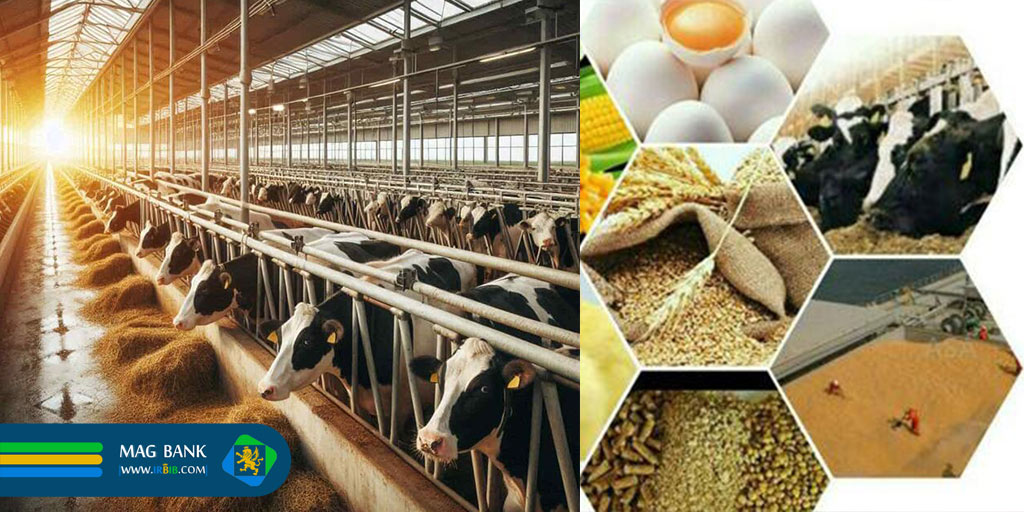 چالش های تولیدکنندگان خوراک دام طیور