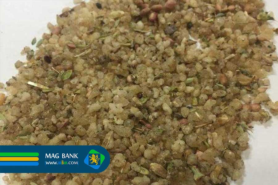 خواص درمانی شیرخشت و فواید آن در گز