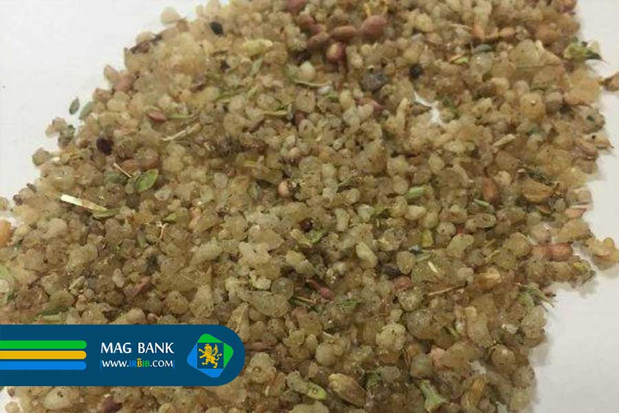 خواص ترنجبین در گز