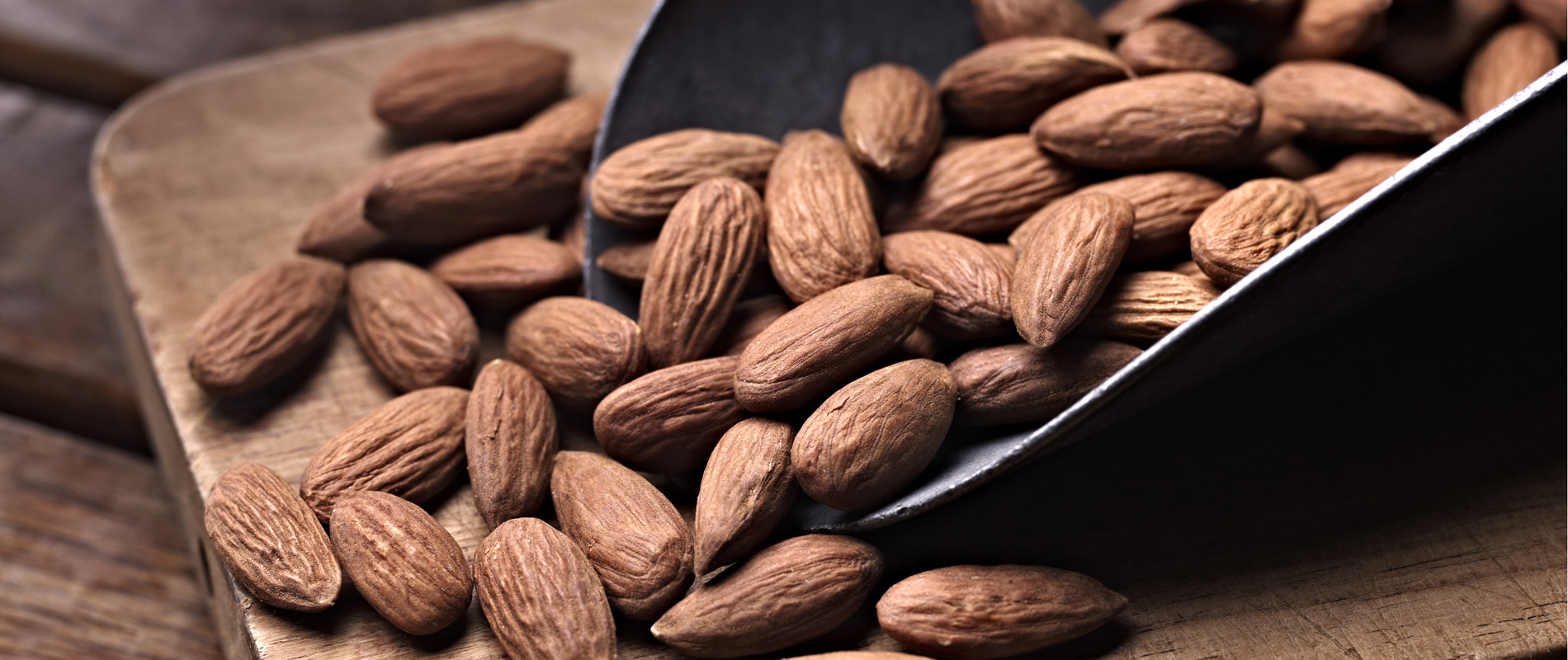 میلاد سامان