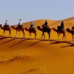 پارک طبیعت گردی و صحرا نوردی کویر شهر آفتاب
