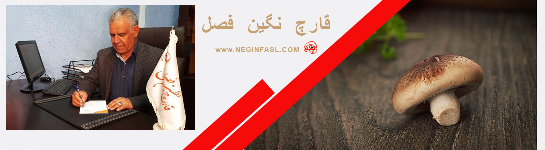 شرکت نگین فصل