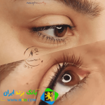 نسیم ناظری