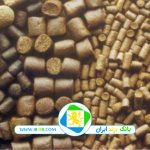صنایع خوراک آبزیستان رامان