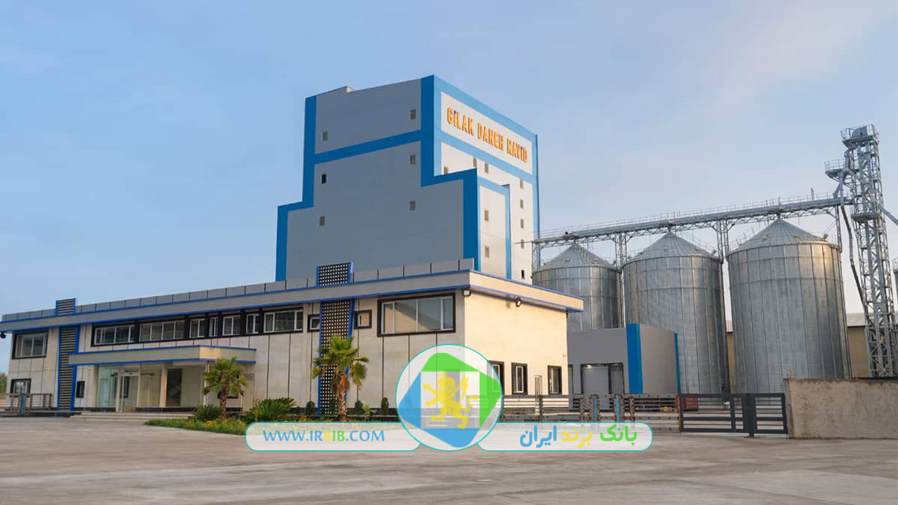 گیلک دانه نوید