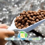 نگین دانه الماس قزوین(پرومیوا)