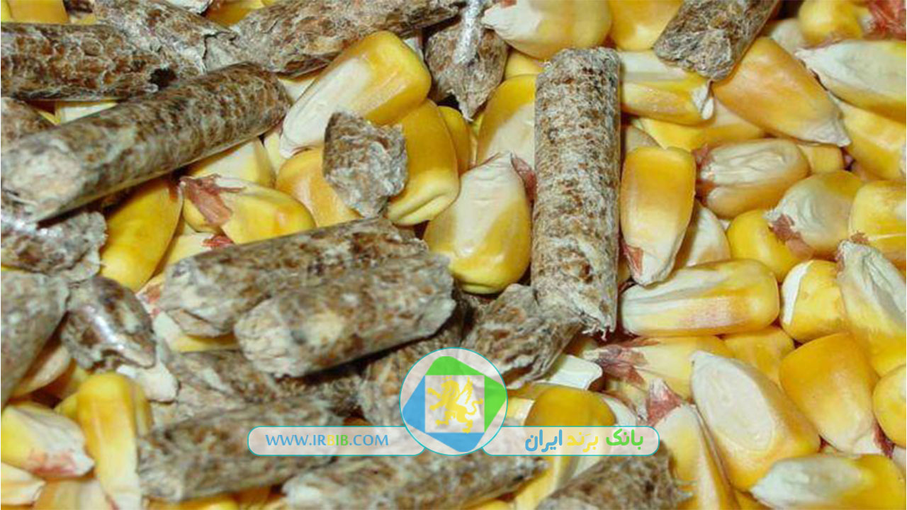 شرکت خوراک دام و آبزیان مازندران