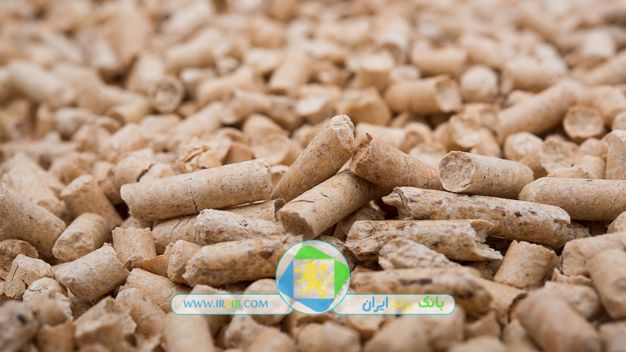 شرکت خوراک آبزیان جیره