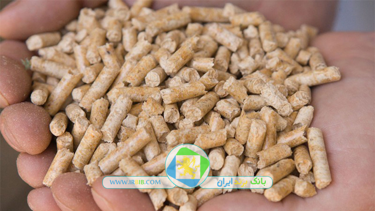 آبزیان مرجان بیدو