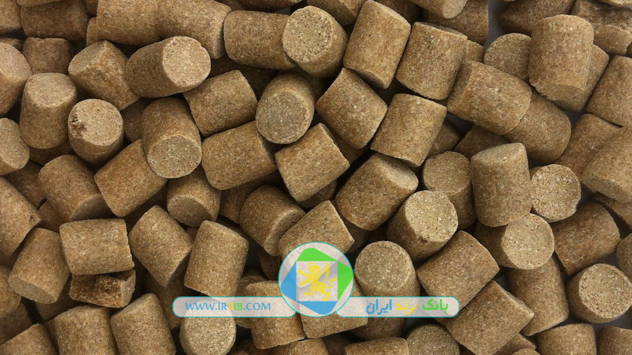 شرکت درین دانه