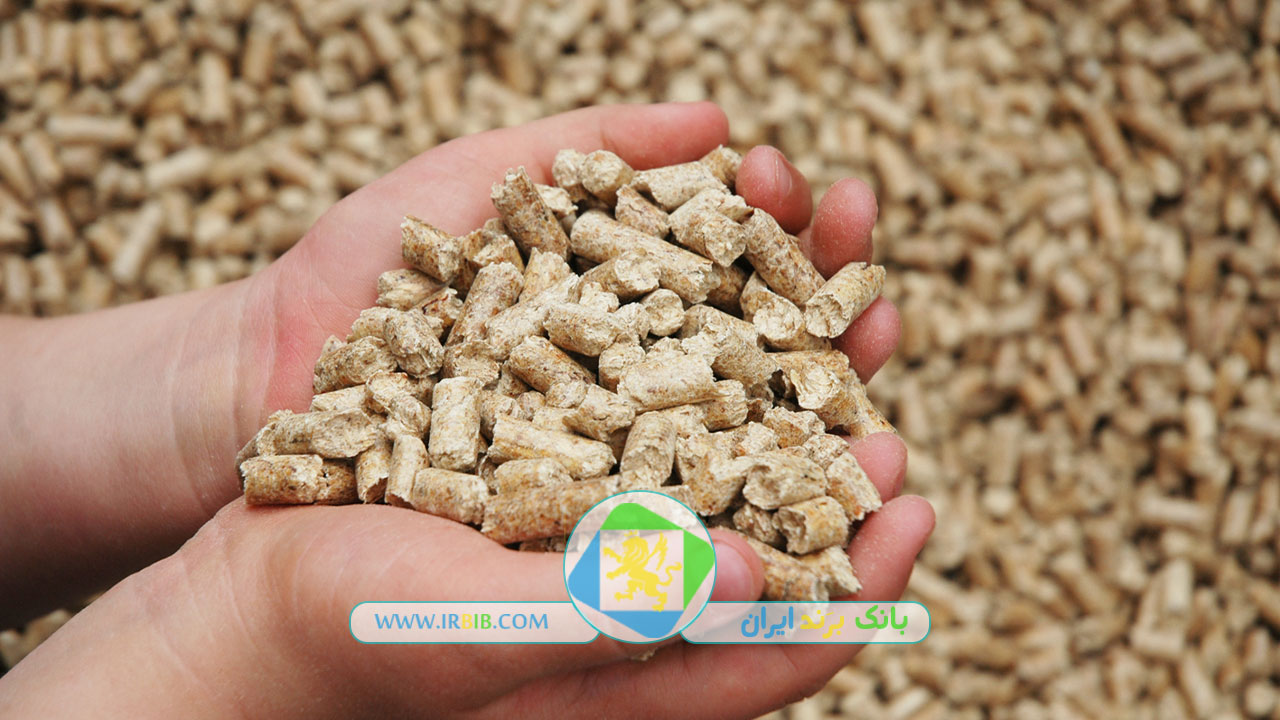 بهین ماندگار البرز