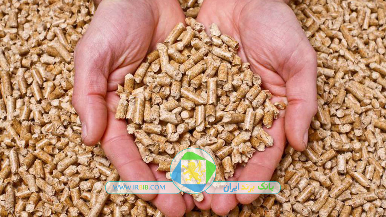 دریا شیلان دز