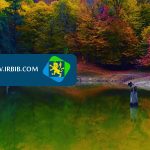 علی آسال وکیل پایه یک دادگستری