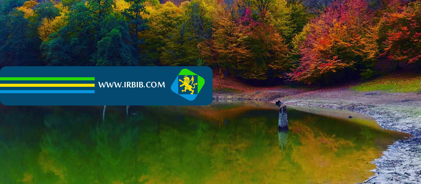 علی آسال وکیل پایه یک دادگستری