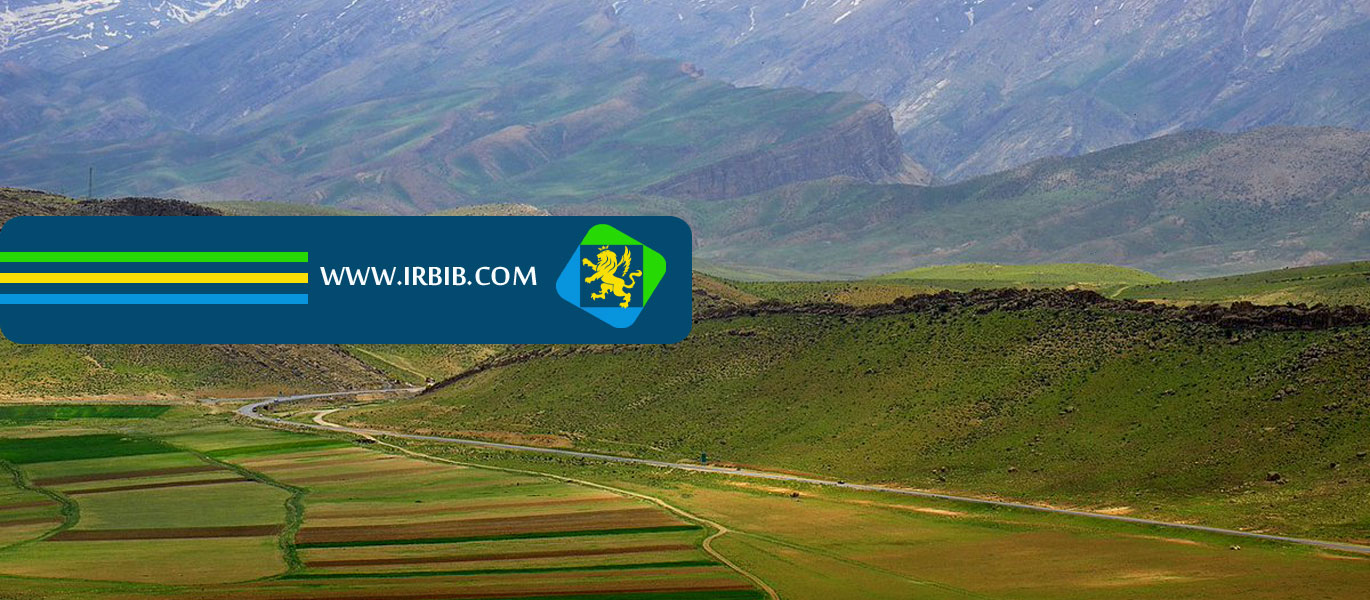 شرکت رزاگرس