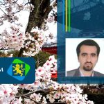 قاسم نجفی بابادی